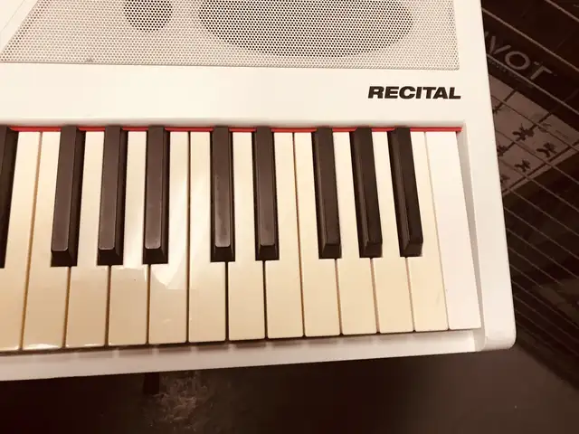 Alesis Recital 88 Keyboard Digital Piano with stand $200 in Pianos & Keyboards in City of Toronto - Image 6
