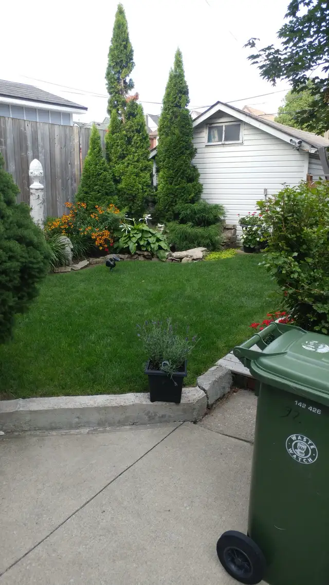 Photo 9