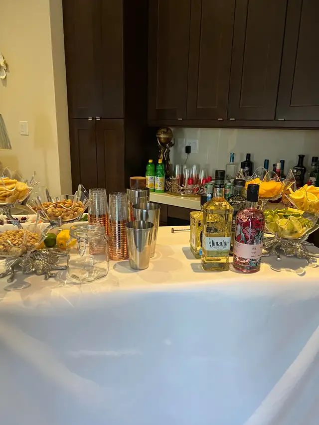 Mobile Bartender cheap!595518157866280962