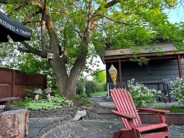 2 Beds 1 Bath Bright Basement Suite