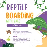 Reptile Boarding Service! - Your Pet's Home Away From Home