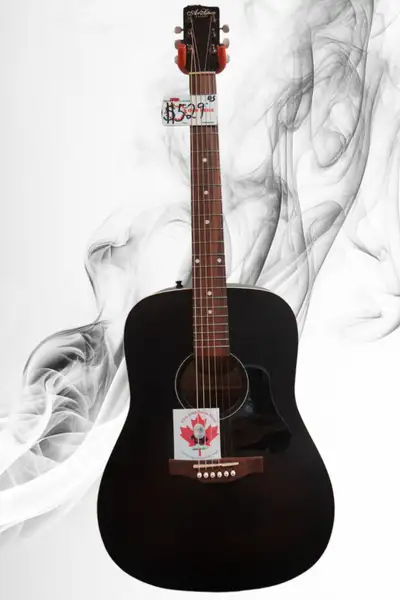Art & Lutherie Americana Bourbon burst acoustic guitar, View more