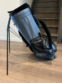 SELLING GREAT CONDITION PING STAND BAG