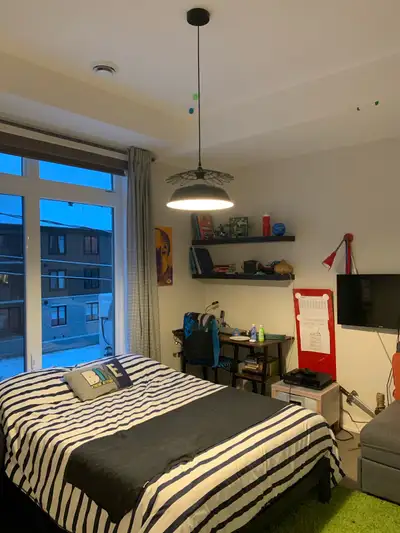 Black Pendant Ceiling Light / Luminaire noire, View more