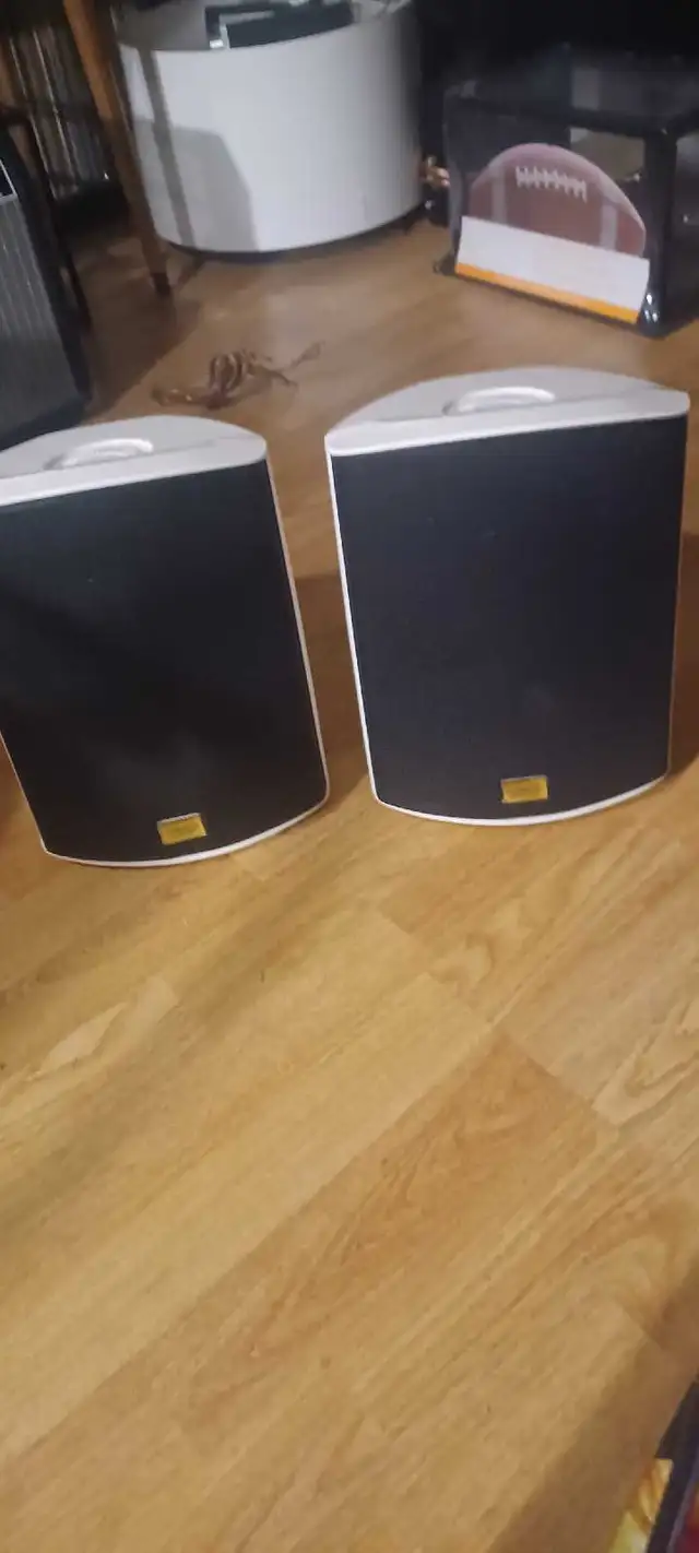 speakers 476384013206179840
