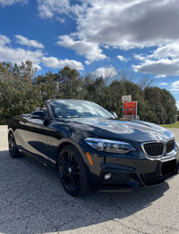 2018 BMW 230i xDrive Cabriolet