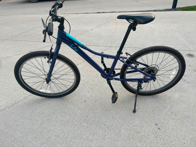 Giant bike 24 inches in Kids in Winnipeg - Image 3