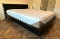 As new BoConcept Queen-size platform bed and Serta foam mattress