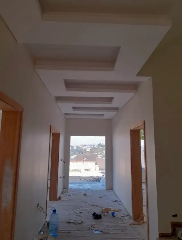 interior exterior painting /plaster