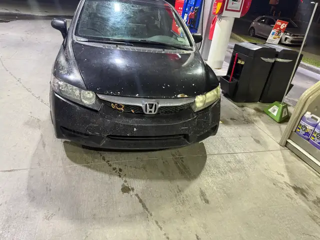 Honda civic546142106063349765