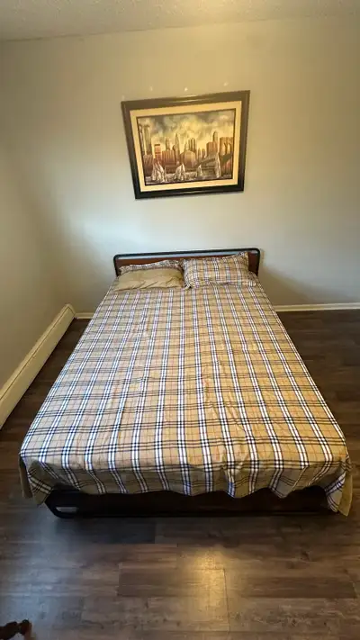 Large King Size Bed with mattress and cushion, View more