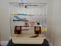 Complete starter bird cage set