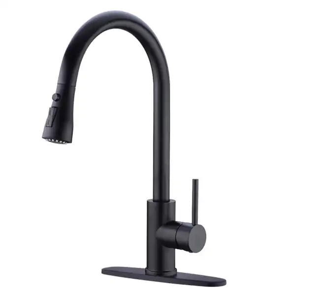 HUAAKE Faucet with Pull Down Sprayer