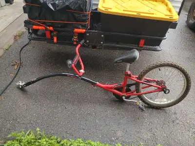 Ride Along Bike Attachment with mounting bracket, View more