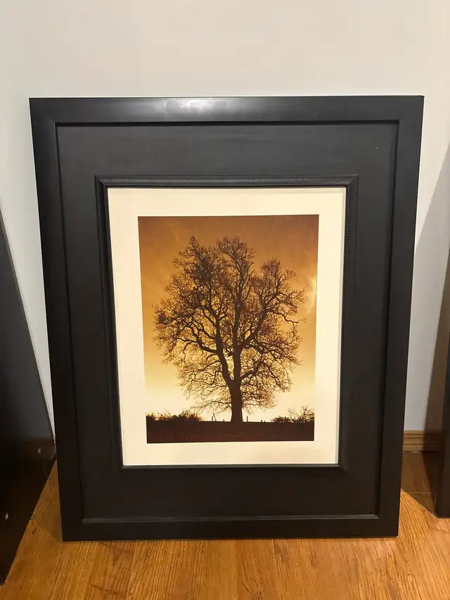 Framed Art Prints in Home Décor & Accents in Fort McMurray - Image 3