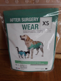 E-Collar Alternative pour chats et chiens : après la chirurgie