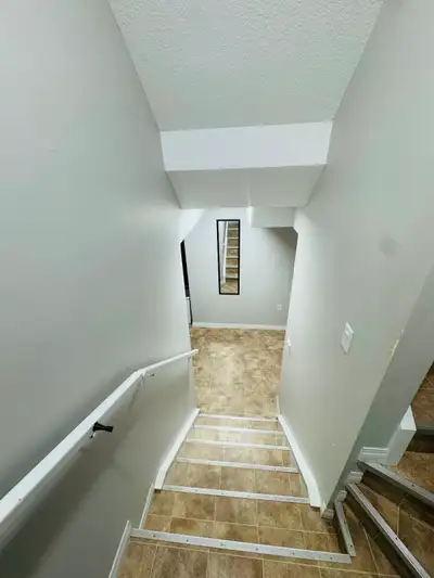 One Bedroom Basement for Rent • Separate Entrance • Separate laundry • 1 minute walk to Bus Stop Loo...