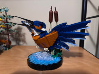 Lego Icons Kingfisher Set