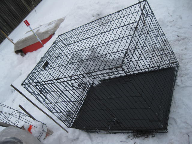 One I-Crate, XL wire dog crate, 29"X30.5"X42.5"; in Accessories in Thunder Bay