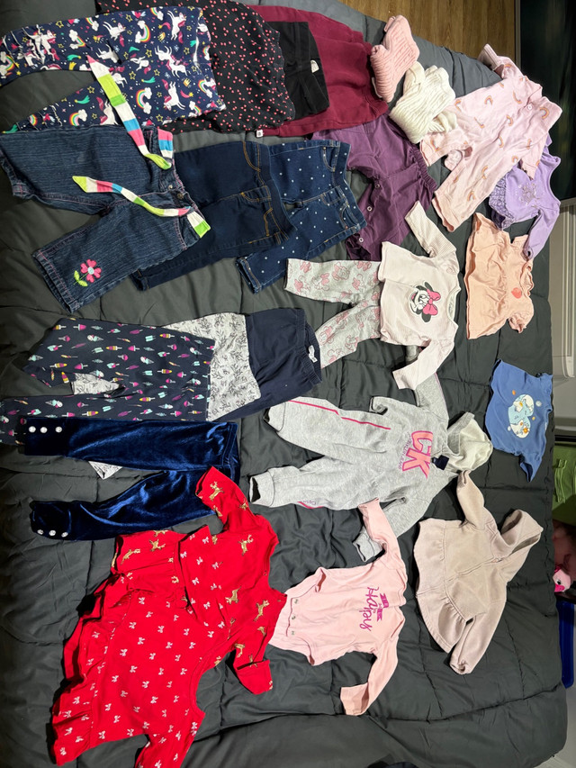 Lot 50$  vêtement bébé  fille 6-12 mois  dans Vêtements - 12 à 18 mois  à Longueuil/Rive Sud - Image 2