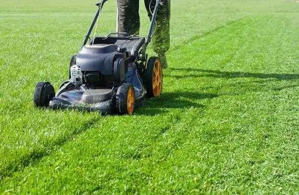 lawn mowing contract this week $150