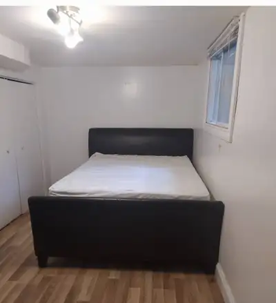 Big basement bedroom: minutes walk to UW, huge space, best Wifi!