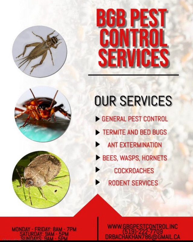 Pest Control Services  in Cleaners & Cleaning in Cambridge