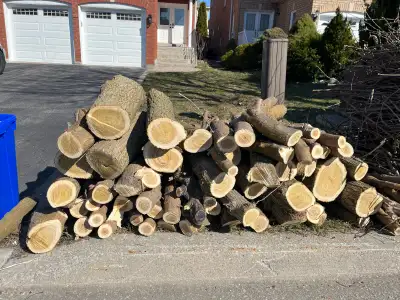 Free Firewood , View more