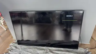 Insignia 48” TV – Works Well, View more