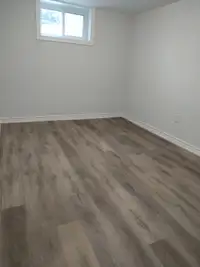 Bright lower floor to rent