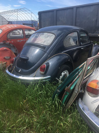 1969 beetle Volkswagen 