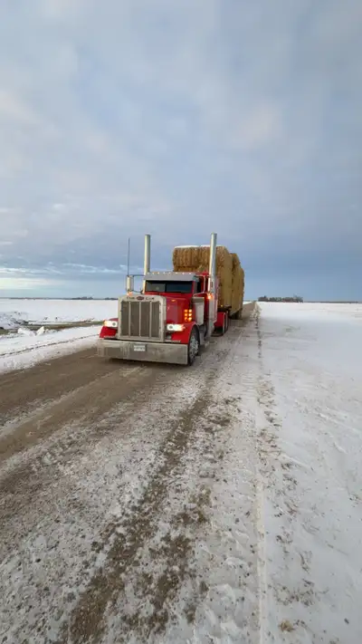 Custom Hauling, View more