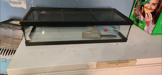 Low tank for small reptiles in Reptiles & Amphibians for Rehoming in Leamington