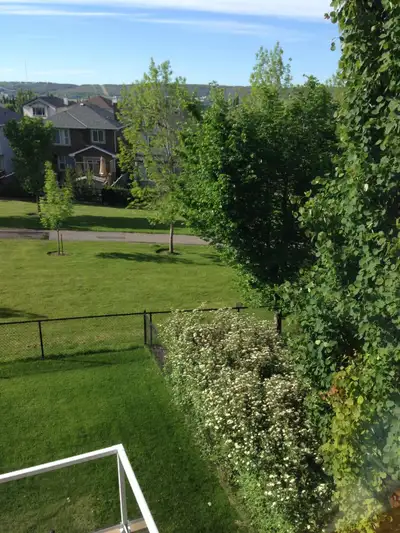 Are you looking for a clean, comfortable, and peaceful place to call home? I have a fully furnished...