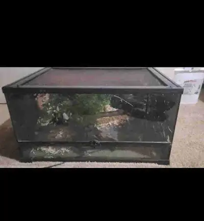 Reptile Tank, View more