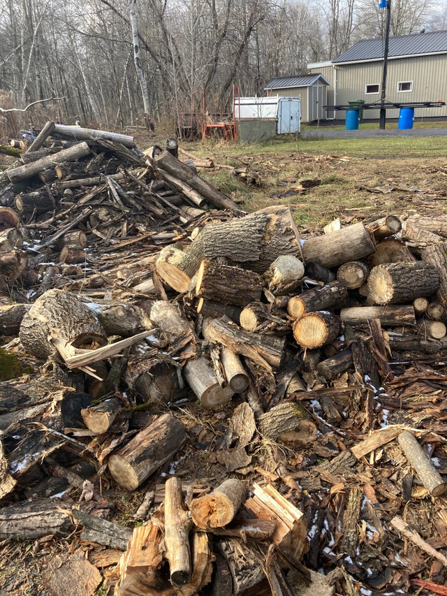 Bois de chauffage mélanger à donner,vous n’avez qu’à le ramasser dans Objets gratuits  à Ouest de l’Île