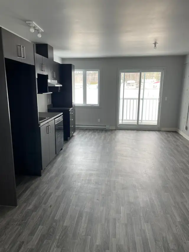 41/2 Saint-Prosper in Long Term Rentals in St-Georges-de-Beauce - Image 3