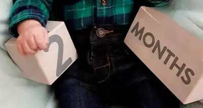 Milestone Blocks, by Pearhead, Wooden, like new, $18, View more