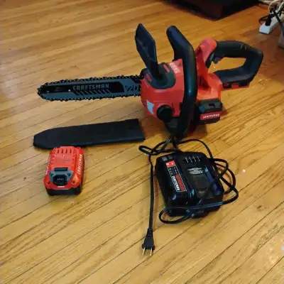 Craftsman 12 inch 20 volt electric chainsaw. Comes with battery and charger. Great power for pruning...