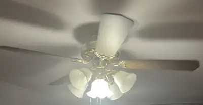 free ceiling lights , View more