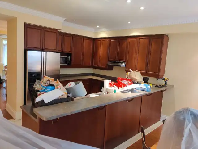 If you are looking for a professional painter62866659505921124