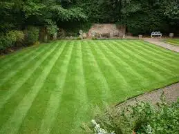 Lawnmower repair 40/hr Need your lawn cut or sprayed. Can do all lawn care and deck/fence repair. 40...