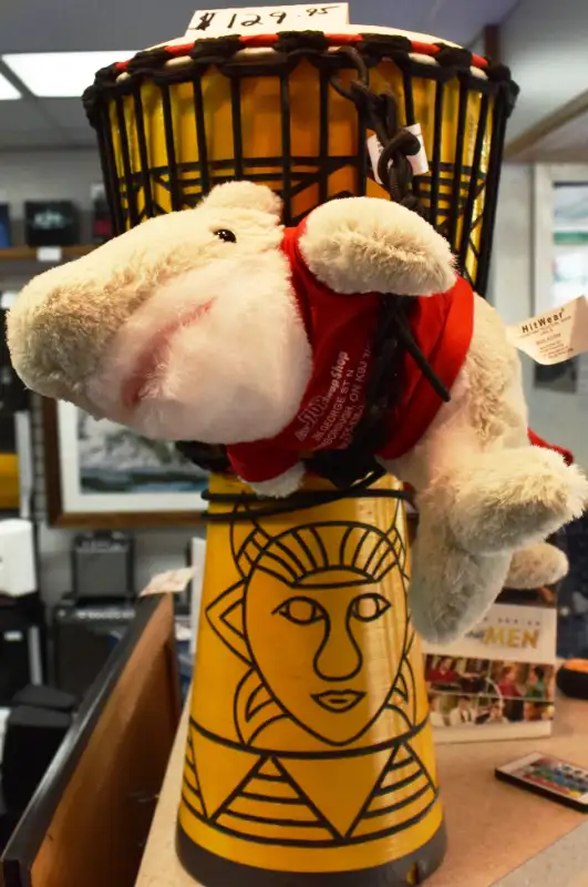 First Stop Swap Shop has BRAND NEW guitar's and djembes in Guitars in Peterborough - Image 9