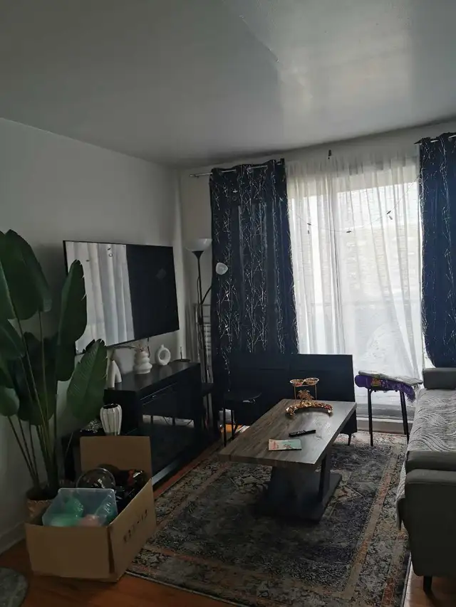 logement à louer