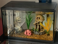 Aquarium fish tank with all accessories - 10 gallon