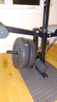 Bench Musculation Multi-options + 80lbs des poids et barre haltè