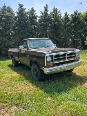 1989 Dodge Ram 1500