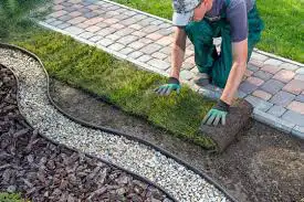 landscaping/lawn maintenance62863248203521122