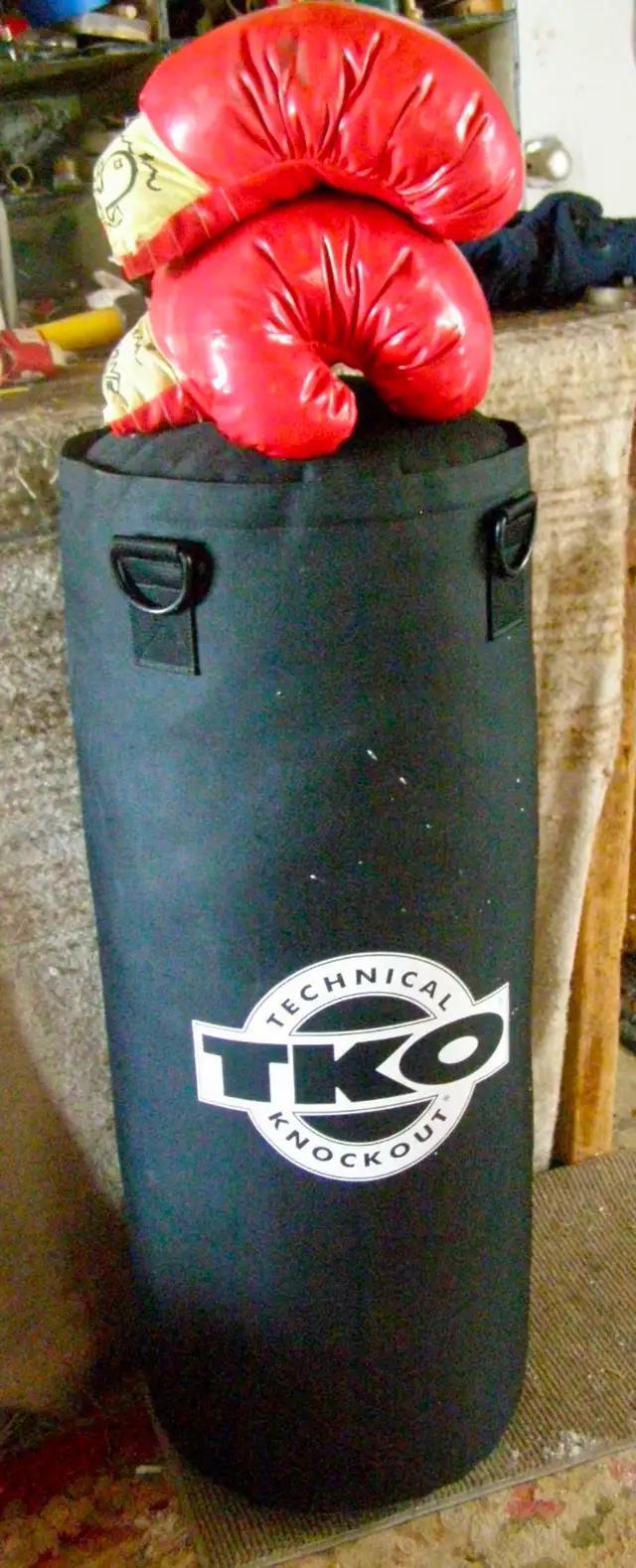Boxing MMA Martial Arts Punching Bag & Gloves in Exercise Equipment in Ottawa - Image 4