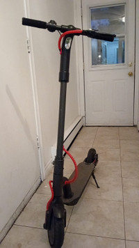 Electric Scooter (escooter) for sale